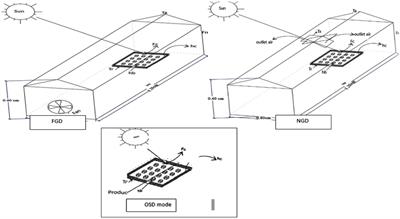 Performance evaluation and analysis of different simple thermal modeling of greenhouse dryer